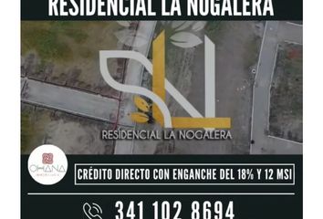 Lote de Terreno en  Tlayolan, Zapotlán El Grande