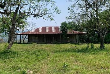 Casa en  Palenque Centro, Palenque