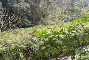 Lote de Terreno en  Coapexpan, Xalapa