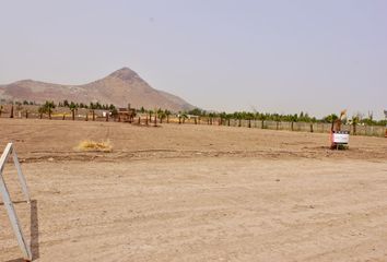 Parcela en  Colina, Chacabuco