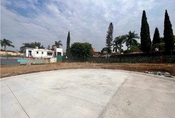 Lote de Terreno en  Delicias, Cuernavaca, Morelos