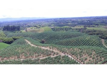 Lote de Terreno en  Circasia, Quindío