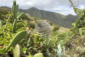 Terreno en  Buenavista Del Norte, St. Cruz De Tenerife