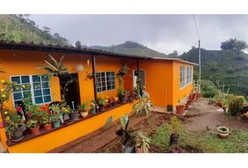 Villa-Quinta en  Norte, Santa Rosa De Cabal