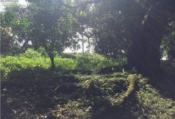 Lotes y Terrenos en  Caimitillo, Ciudad De Panamá