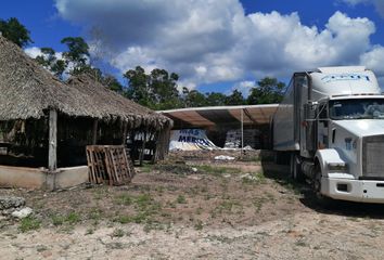 Lote de Terreno en  Tortilleria Mariel, Calle 31, Tzucacab Centro, Tzucacab, Yucatán, 97960, Mex