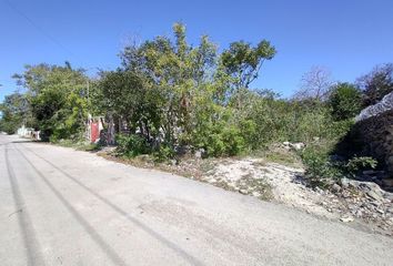 Lote de Terreno en  Motul, Yucatán