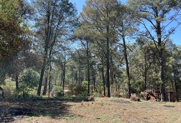 Lote de Terreno en  La Candelaria, Valle De Bravo