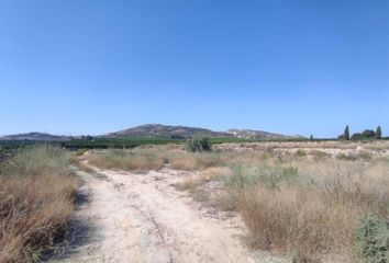 Terreno en  Algorfa, Alicante Provincia