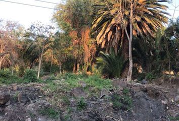 Lote de Terreno en  Juanacatlán, Jalisco