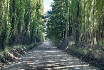 Terrenos en  Plottier, Neuquen