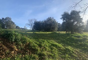 Terreno en  Uceda, Guadalajara Provincia