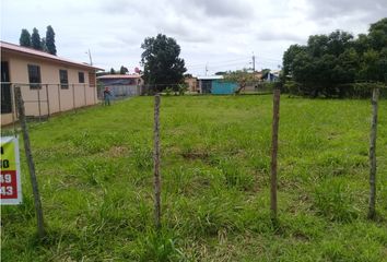 Lotes y Terrenos en  Monagrillo, Chitré