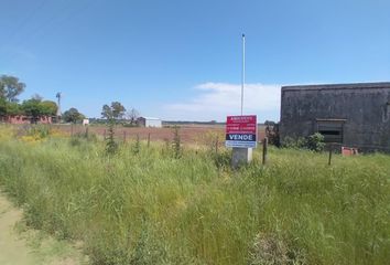 Terrenos en  Río Tala, Partido De San Pedro