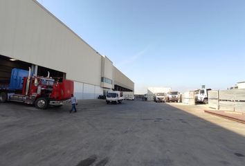 Bodega en  Petronitas, Galapa