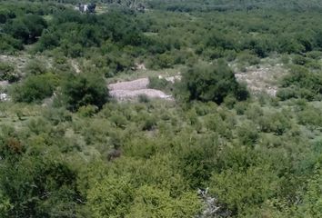 Terrenos en  Papagayos, San Luis