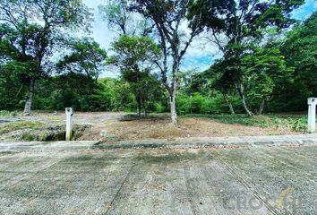 Lote de Terreno en  Centenario, Coatepec, Coatepec, Veracruz