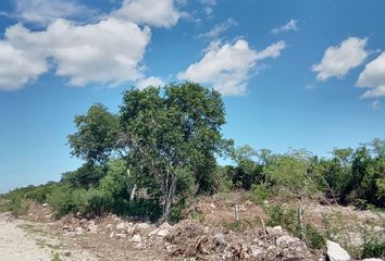 Lote de Terreno en  Progreso De Castro Centro, Progreso, Yucatán