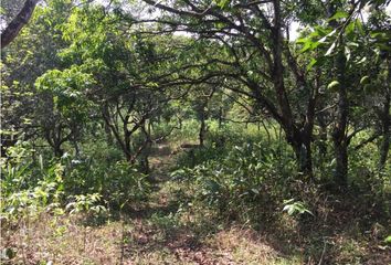 Lotes y Terrenos en  Chilibre Centro, Ciudad De Panamá