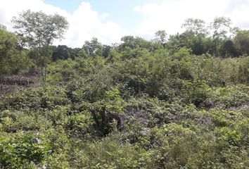 Lote de Terreno en  Ucú, Yucatán