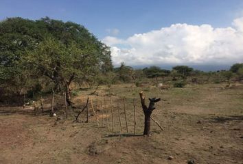 Lote de Terreno en  El Ahuehuete, Tlayacapan