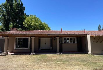 Casa en  Dorrego, Mendoza