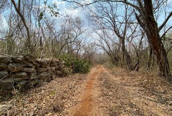 Lote de Terreno en  Tepakán, Yucatán