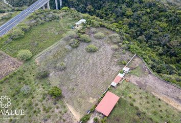 Lote de Terreno en  El Lencero, Municipio De Emiliano Zapata (veracruz)