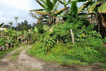 Lote de Terreno en  Carrera 4 4 52, El Colegio, Cundinamarca, Col