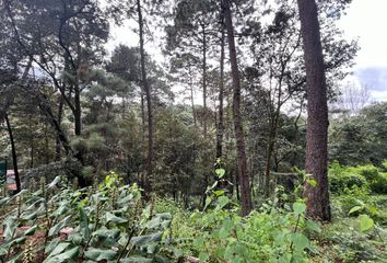 Lote de Terreno en  Avándaro, Valle De Bravo