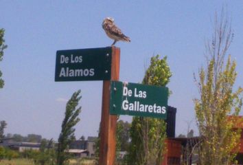 Terrenos en  San Joaquín, Exaltación De La Cruz