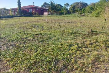 Lotes y Terrenos en  Palmas De Gorgona, Chame