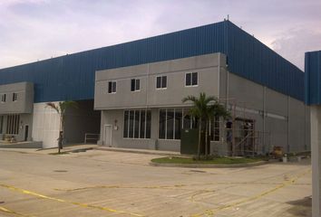 Bodega/Galera en  Nuevo Belén, Ciudad De Panamá