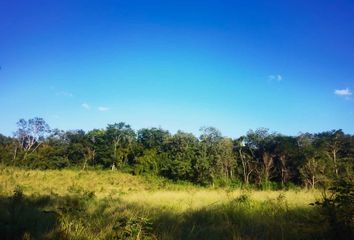 Lote de Terreno en  Calotmul, Yucatán