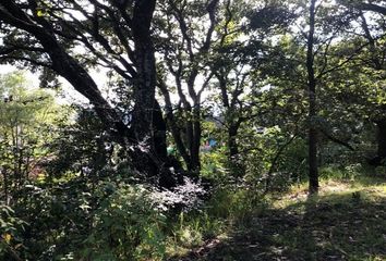 Lote de Terreno en  Cumbres De Santa Fe, San Mateo Tlaltenango, Ciudad De México, Cdmx, México