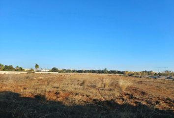 Terreno en  Els Poblets, Alicante Provincia