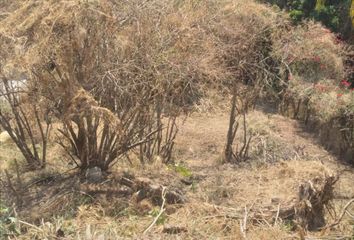 Lote de Terreno en  San Antón, Cuernavaca, Morelos