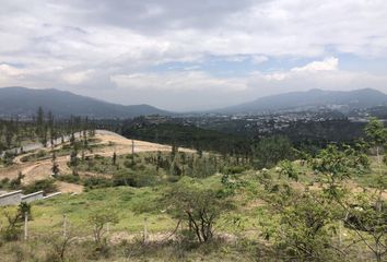 Terreno Comercial en  Tumbaco, Quito