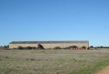 Nave en  Quintana De Raneros, León Provincia