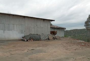 Local comercial en  Carretera Tecate Tijuana 7-7, Tecate, Baja California, Mex