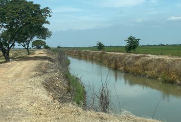 Terreno Comercial en  W825+m3 Yaguachi, Ecuador