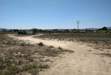 Terreno en  Novelda, Alicante Provincia