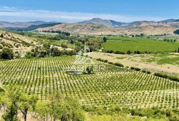 Parcela en  Pencahue, Talca