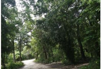 Lote de Terreno en  Tulum, Tulum