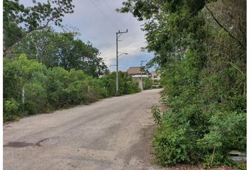 Lote de Terreno en  Tulum, Tulum