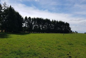 Parcela en  Los Muermos, Llanquihue