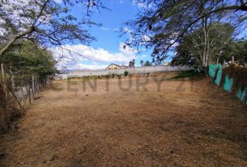 Terreno Comercial en  Tumbaco, Quito