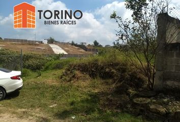 Lote de Terreno en  Hueypoxtla, Estado De México