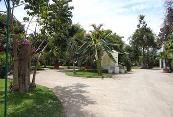 Lote de Terreno en  Yautepec Centro, Yautepec De Zaragoza