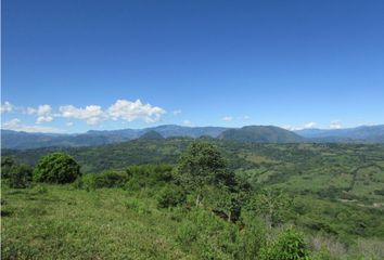 Lote de Terreno en  Támesis, Antioquia